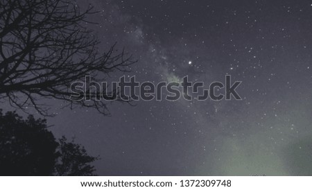 milky way over the night sky with tree branches view