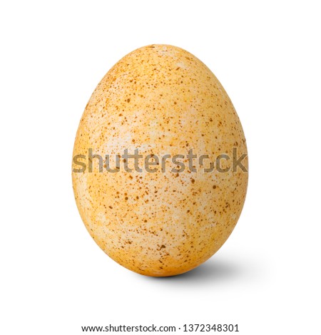 Easter egg isolated on a white background with clipping path, handmade easter eggs.