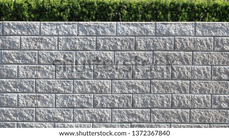 the texture of the brick wall of the house