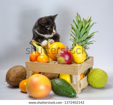 black and white cat guards a box with exotic fruit