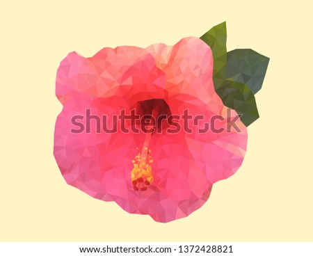 Blooming pink Hibiscus (Chinese rose, Hawaiian hibiscus) low polygonal vector