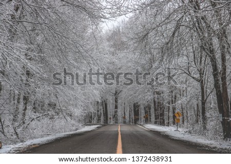 Sticky spring snow covering a dense forest with a winding road cut threw. Beautiful winter landscape; Ontario Canada; Curved Road Winter Forest 