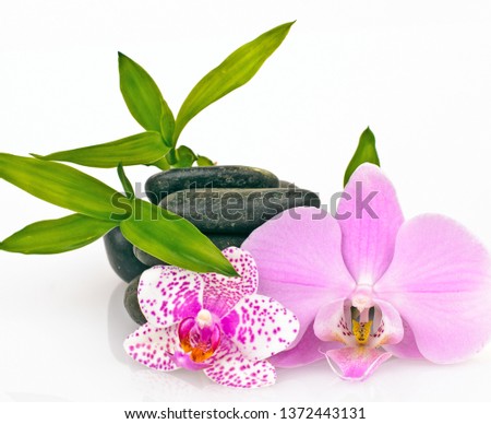 Spa composition: with black zen stones for massage therapy, orchid phalaenopsis flowers and bamboo. Symbol of relaxation, wellness, happiness, joy,