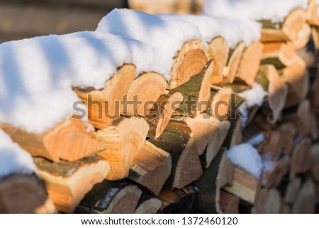 cut wood with snow 