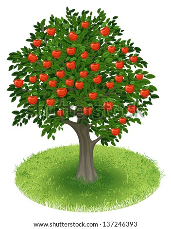 Summer Apple Tree with red apple fruits in green field, illustration