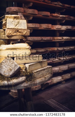 italian toma (hard cheese) seasoning in a cold and dark cellar