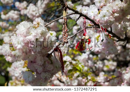 Branch of blossoming cherry tree with.  National Bulgarian Traditional holiday symbol.
