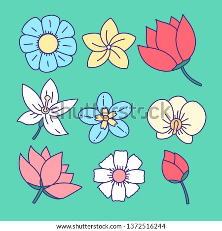 Flowers set. Collection of floral elements drawn by hand - Vector illustration EPS
