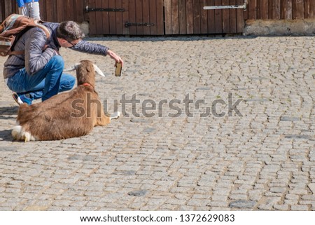 The young man tourist taking selfie picture/photo with animal goat