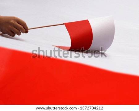 Hand with Polish flag