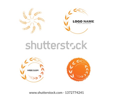 Agriculture wheat Logo Template vector icon design - Vector