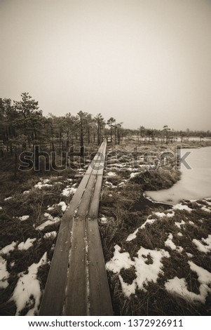 nature trail in swamp in deep snow in winter. overcast day, bog with wooden boardwalks. tourist recreation in Latvia - vintage retro look