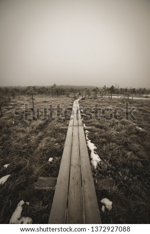nature trail in swamp in deep snow in winter. overcast day, bog with wooden boardwalks. tourist recreation in Latvia - vintage retro look