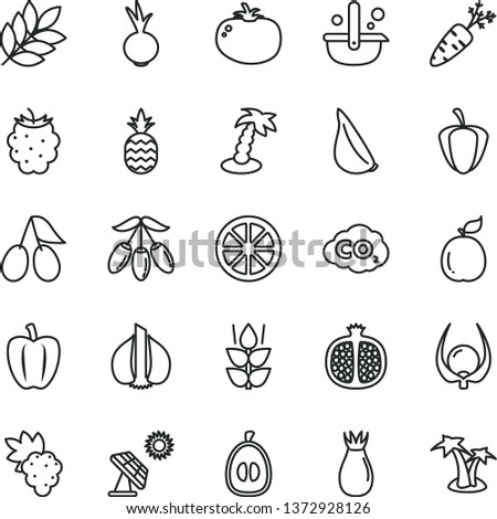 thin line vector icon set - tomato vector, beet, garlic, a pineapple, mint, half pomegranate, grape, rose hip, cornels, blackberry, goji berry, loquat, juicy lemon, guava, physalis, Bell pepper