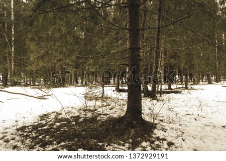 fast river stream in white winter forest. cloudy day with dark brown water rushing in snowfall - vintage retro look
