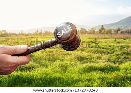 Sale  land,wooden gavel  on land background
