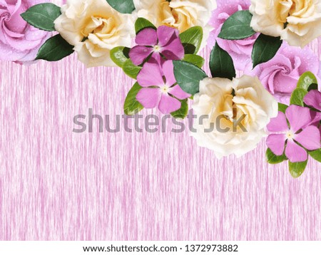Beautiful floral background of phlox and roses. Isolated 