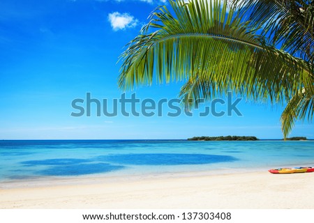 The branches of coconut palms against the clear blue sky and turquoise sea. Beautiful tropical landscape.