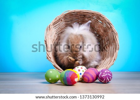 Cute little rabbit in a basket decorated with colorful eggs Happy Easter!