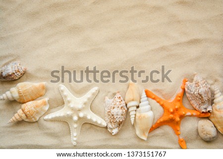 starfish and seashells on the sand of the beach. Royalty-Free Stock Photo #1373151767
