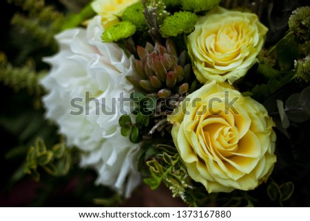 Close-up of a lush bouquet of natural flowers in yellow-green tones with yellow roses, gray brunia balls, a large white dahlia, succulents, fern, licorice and field herbs at a dark background
