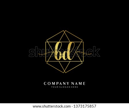 BD initial handwriting logo geometric template vector