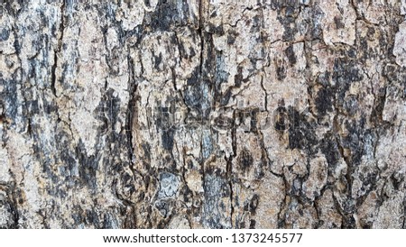 Natural tree surface
