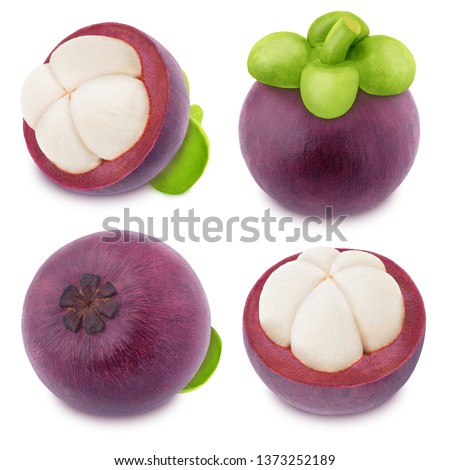 Set of juicy mangosteenes isolated on a white. As package design elements.