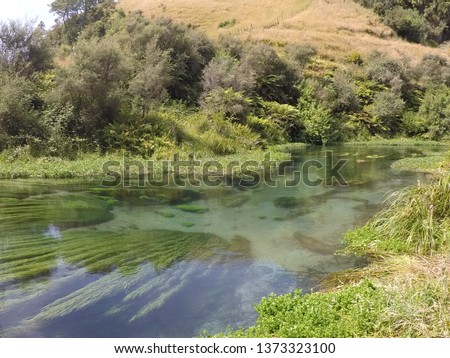 The fairy tail river Te Waihou in New Zealand