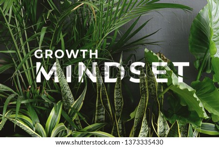 A picture of word growth mindset with many type of plants.