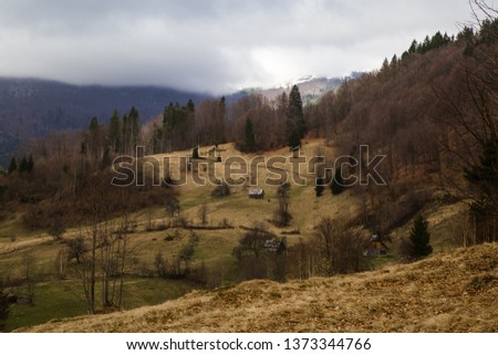  Sunny landscape at the end of winter season