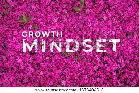 A picture of word growth mindset with beautiful flowers.