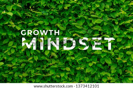 A picture of word growth mindset with green leaves.
