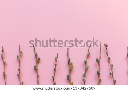 Pink background with willows, down, free space, spring