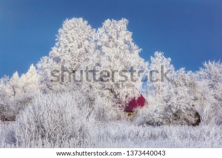 A small red house stands in a snowy forest and hoarfrost grass. Snow picture. Winter fairy landscape. Rustic motifs. Christmas tale.