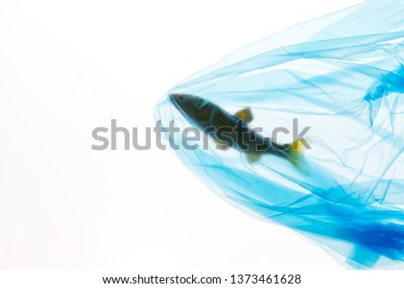Plastic pollution creative concept advertise for campaign save oceans by photo of sea fish model caught struck in blue plastic bag with copy space. Plastic bag looks transparent by studio flash light.