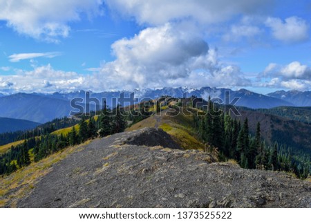 Picture on Hurricane Ridge in Olympic National Park