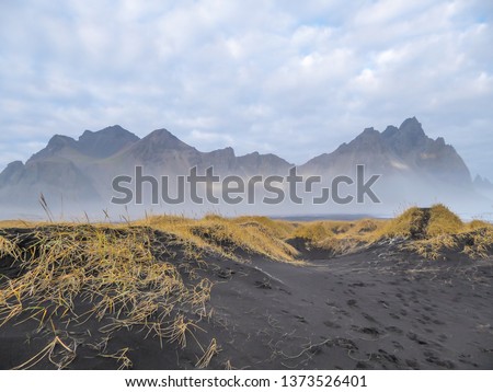 Tall mountains chain hiding behind a black sand dune. Dune overgrown with long golden grass. The mountains emerging from the sea on the shore of black sand beach. Magical and mysterious hidden gem.