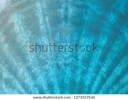 Background of seashell close-up macro in neon light . Mollusk seashell texture.