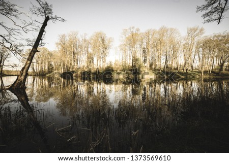beautiful summer day at the lake, tree reflections in blue water with blue sky above, solitude - vintage retro look