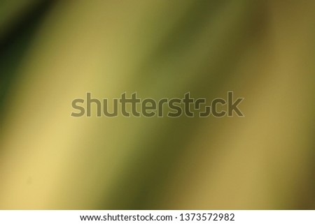 Blur Wallpaper, Background, Theme For PC, Smart Phone, Tablet. Green, Yellow and Brown Natural. Fresh and Close up.