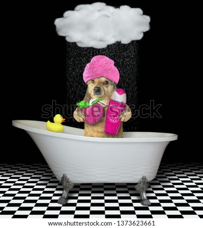 The dog with a pink towel around his head is taking a bath under a cloud. It holds a sponge and shampoo.