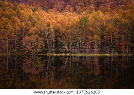 Mishaka pond in Japanese colored autumn. Chino City, Nagano Prefecture, Japan 
