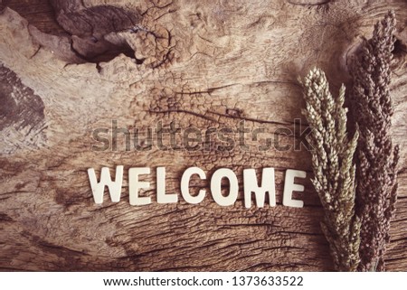 Word "welcome" on wooden background.
Spa and education concept.
