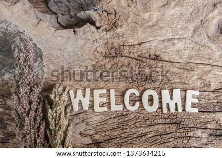 Word "welcome" on wooden background.
Spa and education concept.