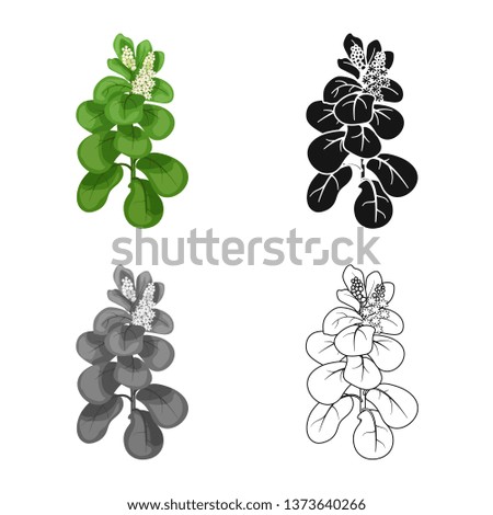 Isolated object of leaves and leaf sign. Collection of leaves and botanical vector icon for stock.
