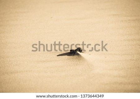 sand pattern texture on the beach in cold weather at the Baltic sea - vintage retro look