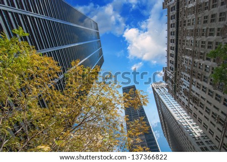 New York City. Upward view of Manhattan Buildings with trees and sky