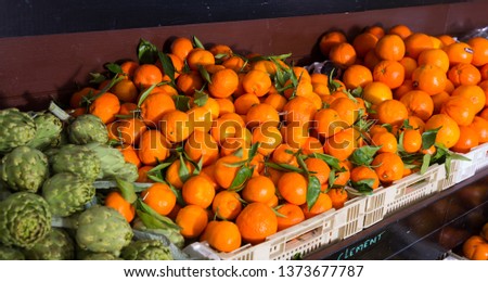 Picture of fresh seasonal fruits on counter in  food market, no people