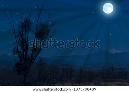 Full moon over the forest and the fields. Tree silhouette in the moonlight.